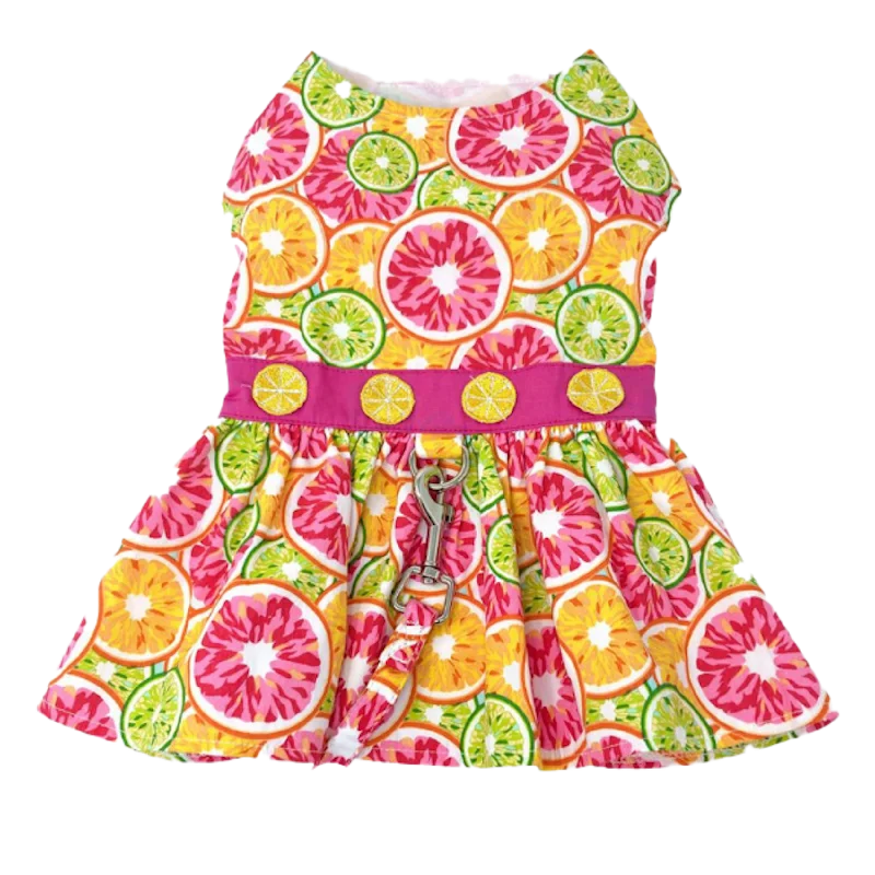 Dress | Citrus Clementine